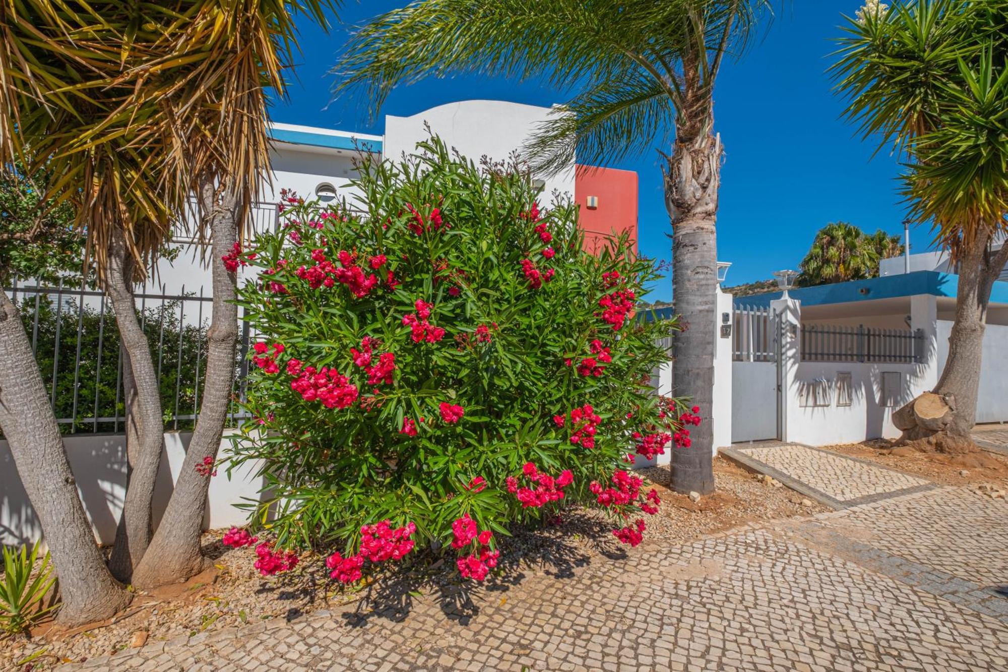 Capetown Marina Luxury Villa - Private Pool Albufeira Eksteriør billede